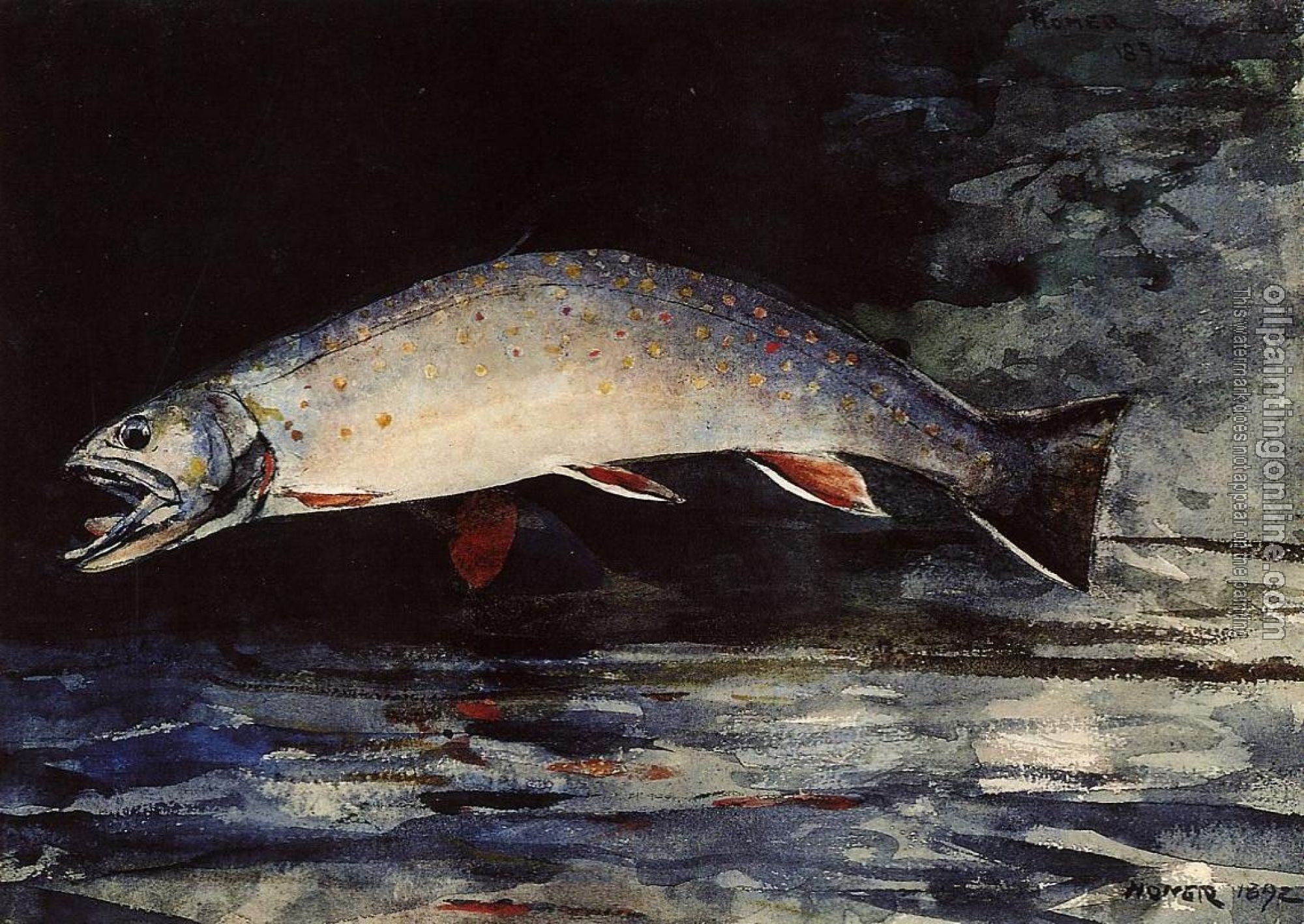 Homer, Winslow - A Brook Trout